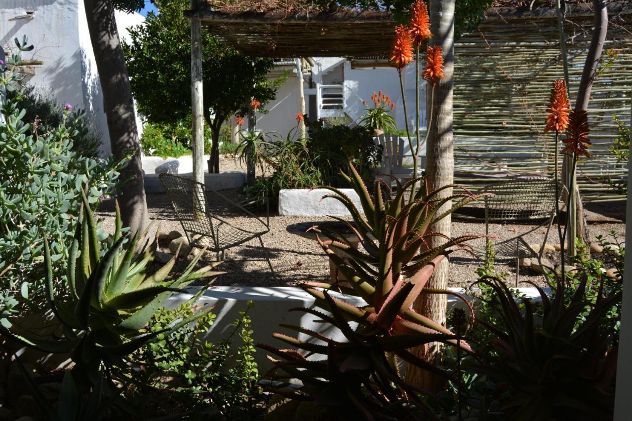 Ta Mala'S Cottage Prince Albert Exteriér fotografie