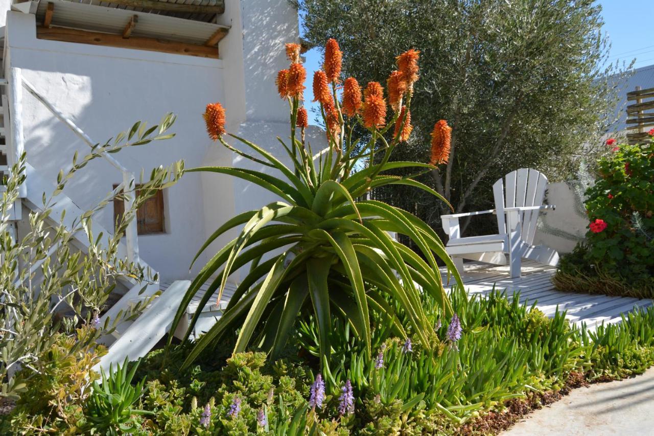 Ta Mala'S Cottage Prince Albert Exteriér fotografie